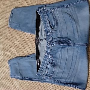 Torrid Jeans